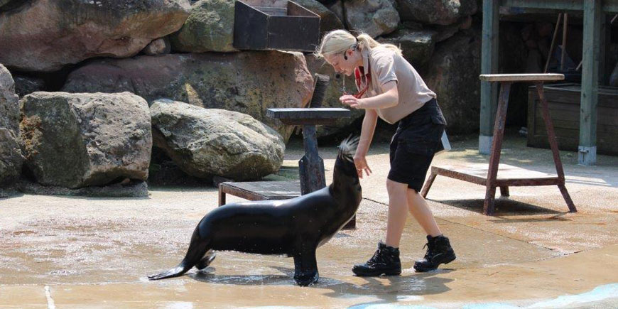 Chessington Zoo